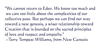 Quote from New Genesis