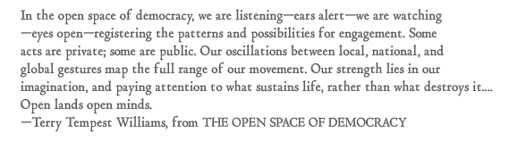 Open Space of Democracy quote