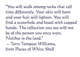 Quote from Pieces of White Shell