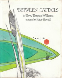 Between Cattails