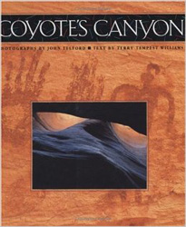 Coyotes Canyon