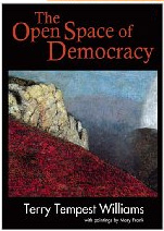 The Open Space of Democracy
