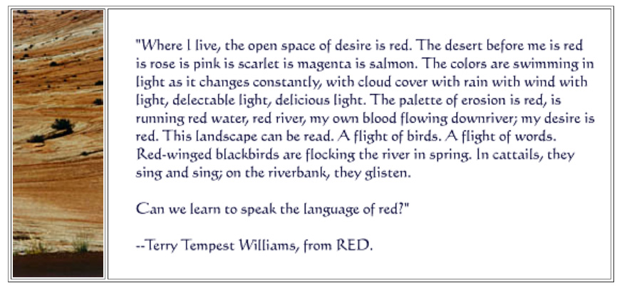Red quote